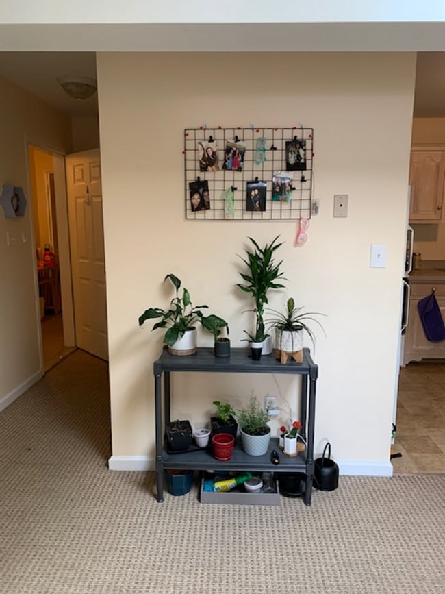 Building Photo - 41 S Main St