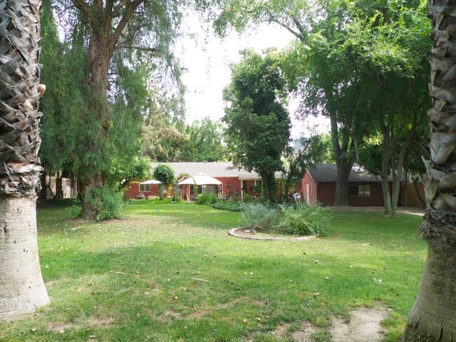 Primary Photo - 2290 Canonita Dr