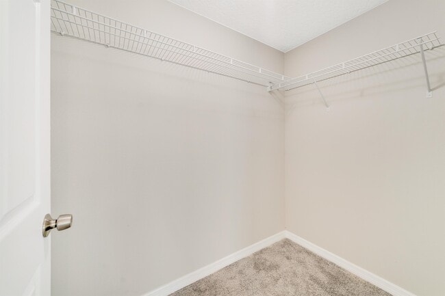 Building Photo - 255 Taylor Ln