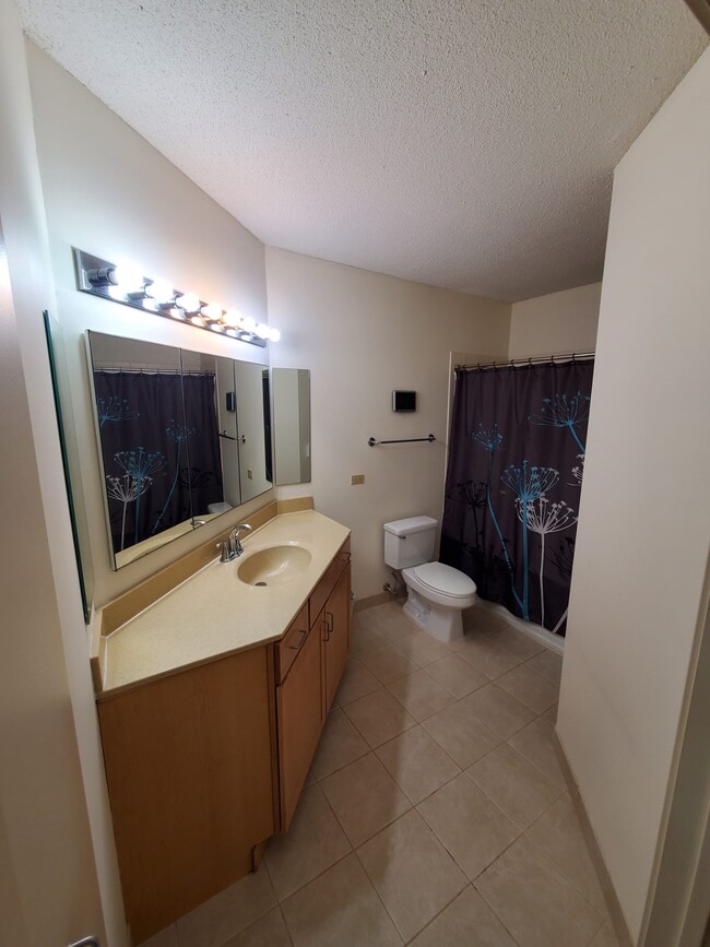 Master Bath - 222 N Columbus Dr