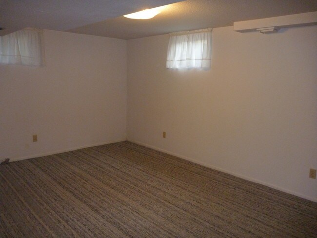 Finished Basement - 9280 Tennyson St