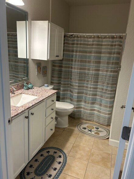 Guest bath - 5000 Culbreath Key Way