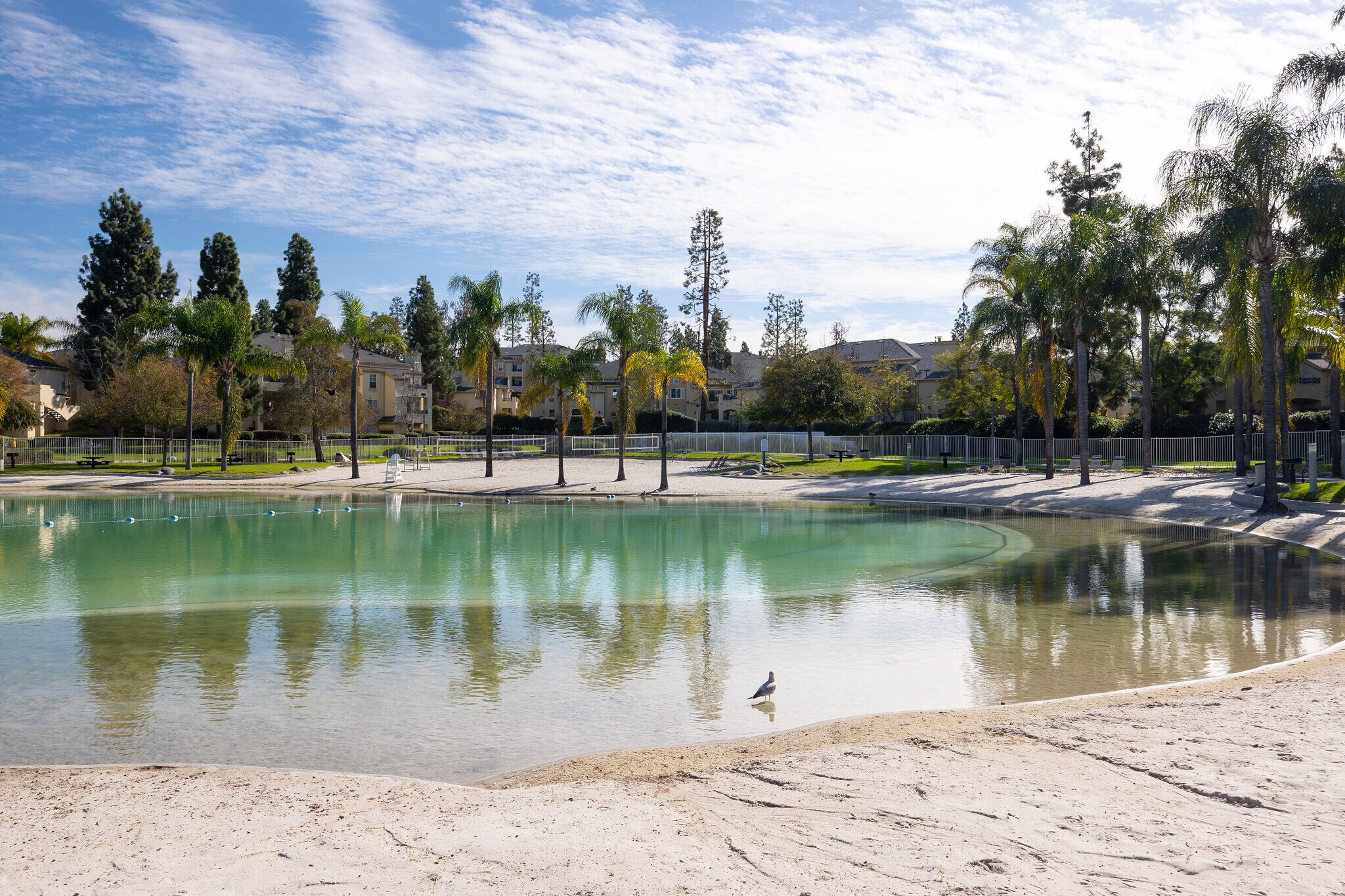 Building Photo - 779 Brookstone Rd