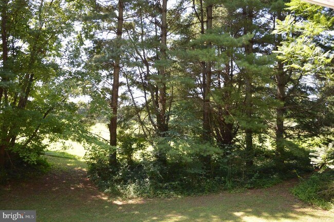Building Photo - 12368 Rixeyville Rd