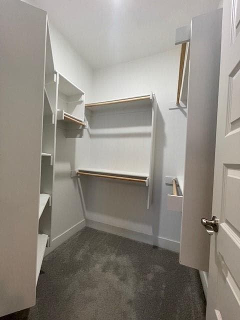 Building Photo - 2339 E Amherst Aly