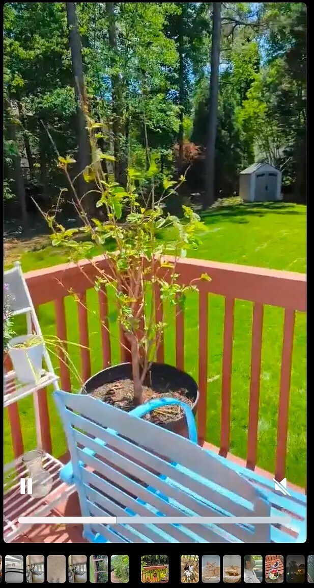 Building Photo - 113 Bottlebrush Ct