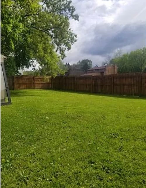 Building Photo - 901 White Birch Ln