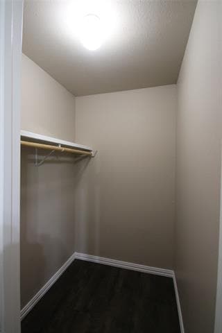 Building Photo - 6812 Cuculu Dr