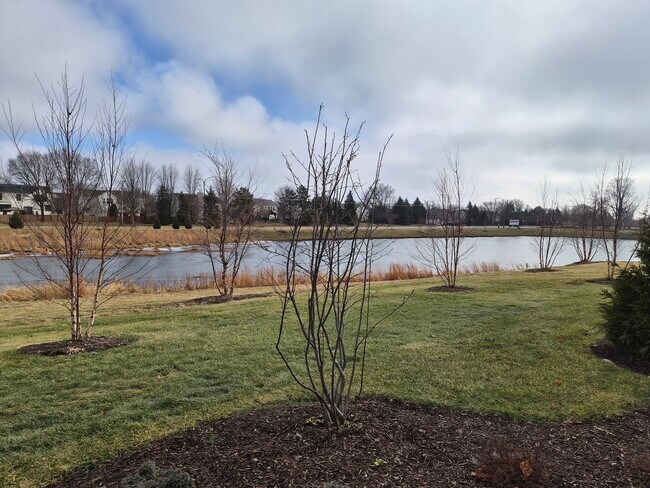 Building Photo - 24412 W Alexis Ln