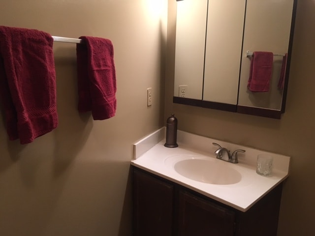 Basement bathroom - 11251 Silentwood Ln