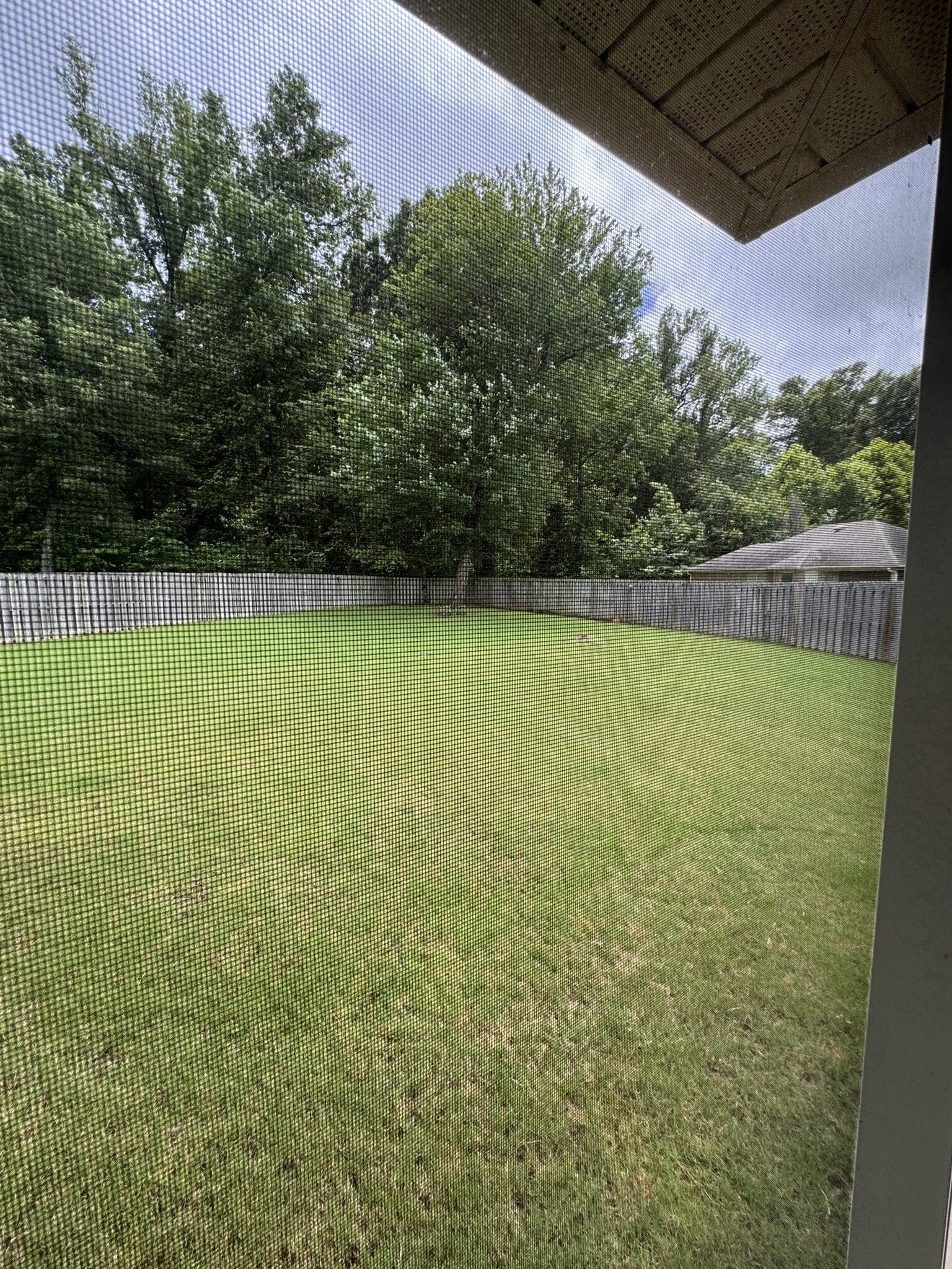 Fenced Back Yard - 23 Reflection Cv