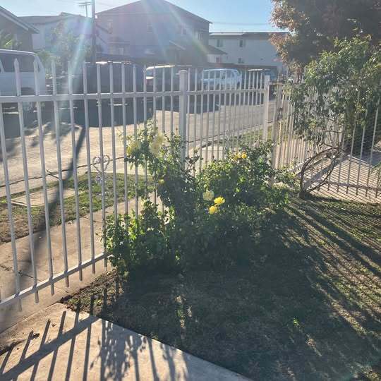 Building Photo - 151 E 108th St