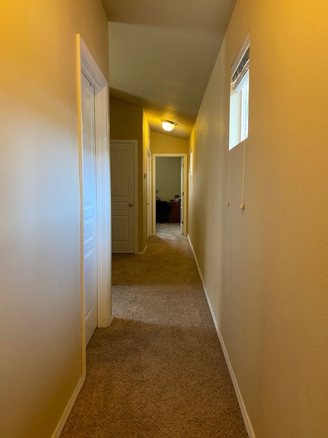 Building Photo - 2923 Lemhi St