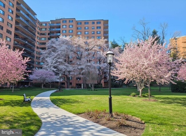 Building Photo - 4201 Cathedral Ave NW