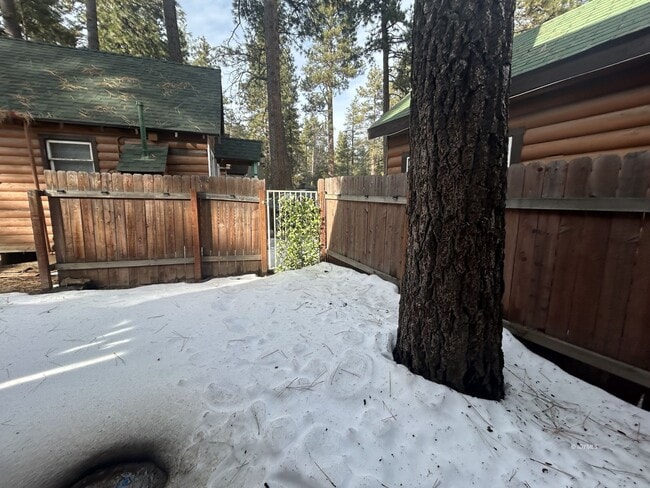 Building Photo - Shady Pines Cabin 1 bd.+1 Loft Bd. 1 Ba. w/ Sm. Fenced Yard.