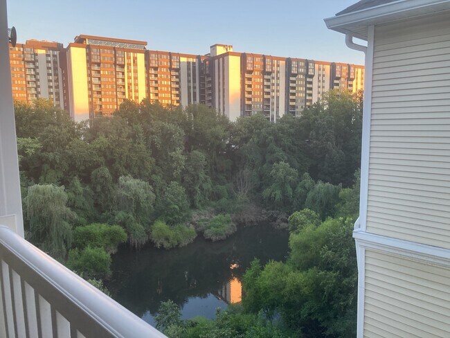 Building Photo - 4550 Strutfield Ln