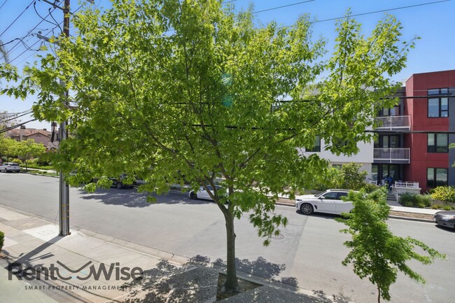 Building Photo - 1534 San Antonio St