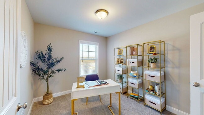 Building Photo - 2608 Sailor Rose Ln