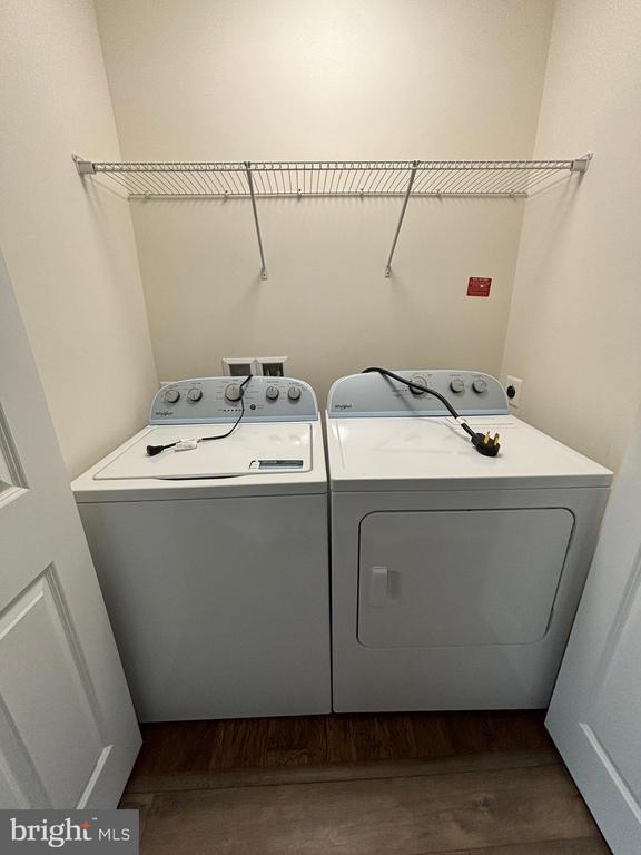 Building Photo - 115 Chamomile Ct