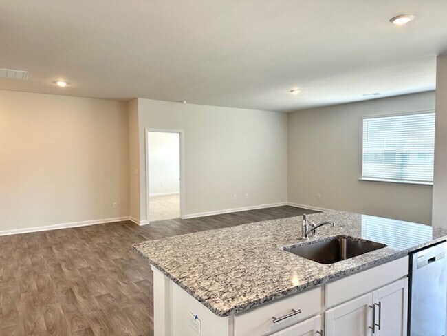 Building Photo - BRAND NEW HOME IN HOPKINS