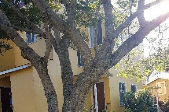 Apt B side of Building - 1537 Schiller St