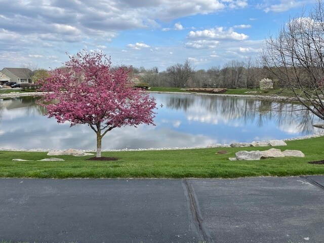 Lake - 4323 Capri Way