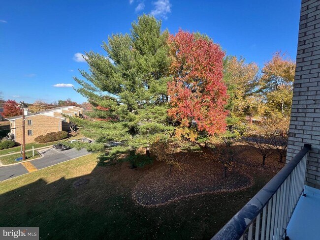 Building Photo - 14616 Bauer Dr