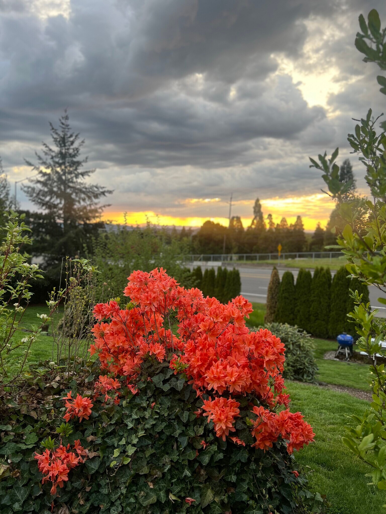 Building Photo - 11240 SW Barbur Blvd