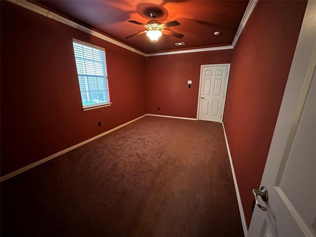 Building Photo - 11703 Stephenville Dr