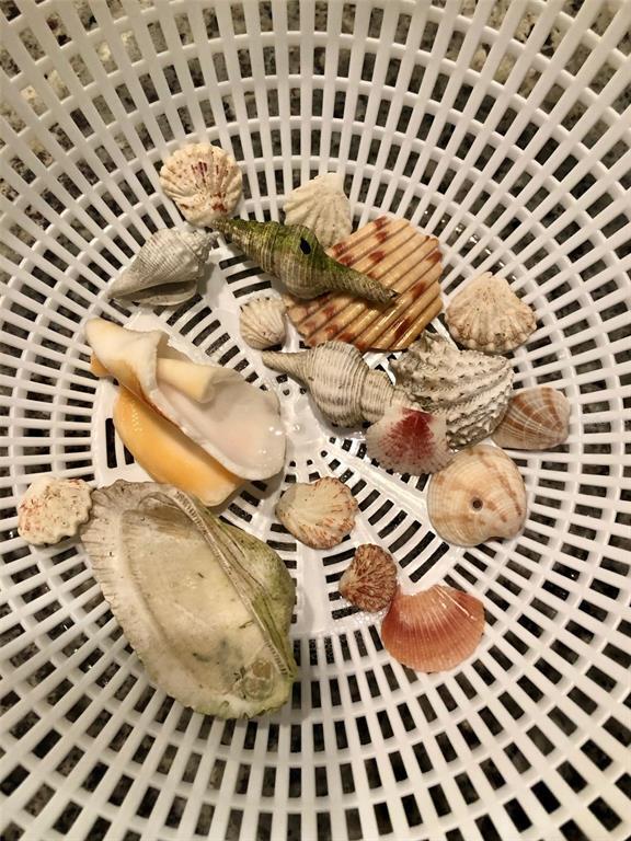 Building Photo - 540 Neptune Ave