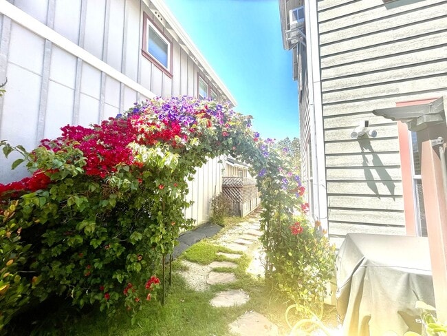 Building Photo - Pet friendly House Santa Maria