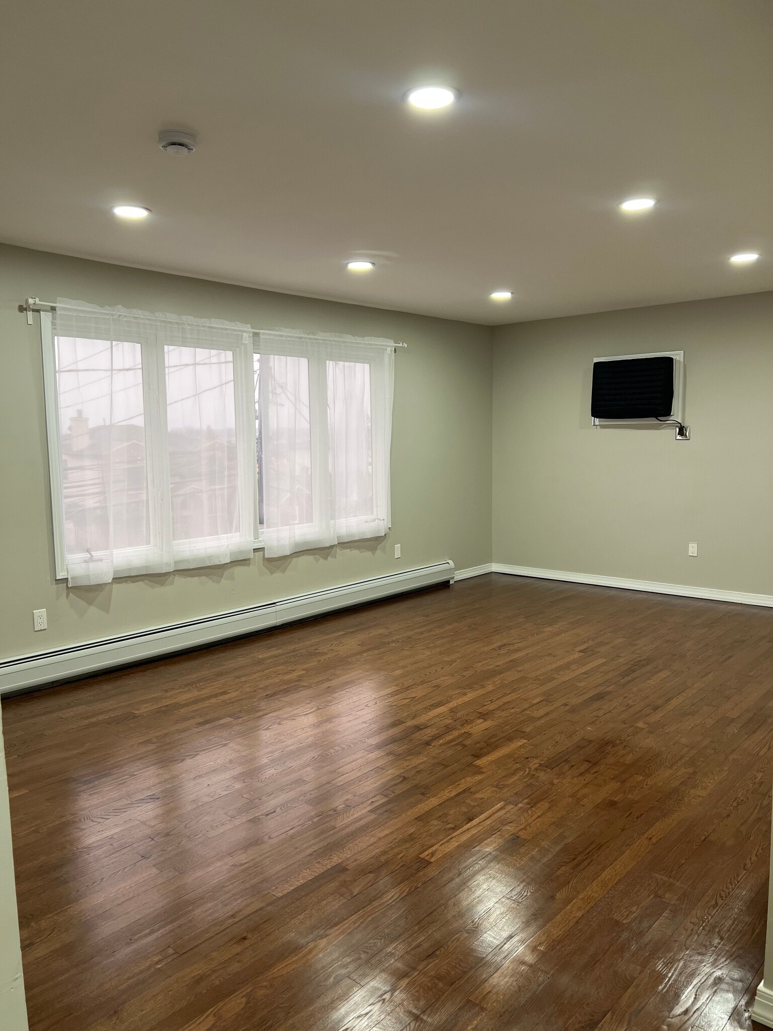 Ample natural light livingroom - 184 Albert St