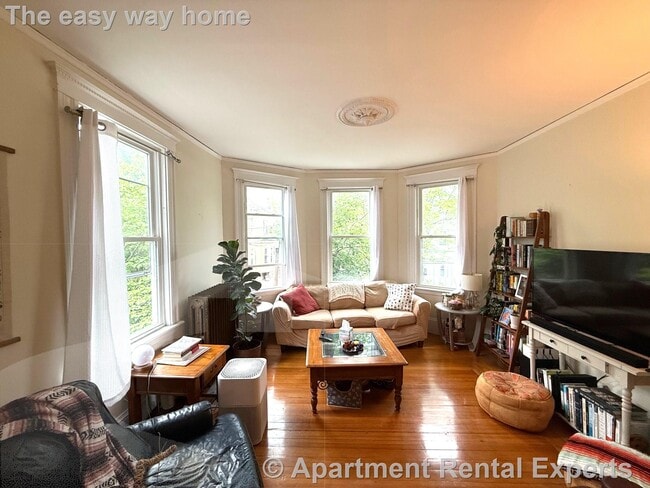 Primary Photo - 13 Standish St