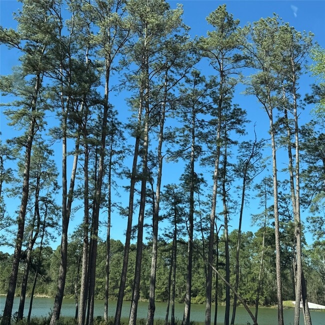 Building Photo - 6269 Alder Crk Dr