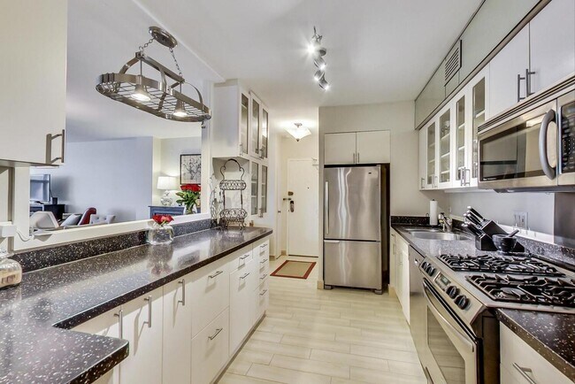 Building Photo - 1000 N Lake Shore Dr