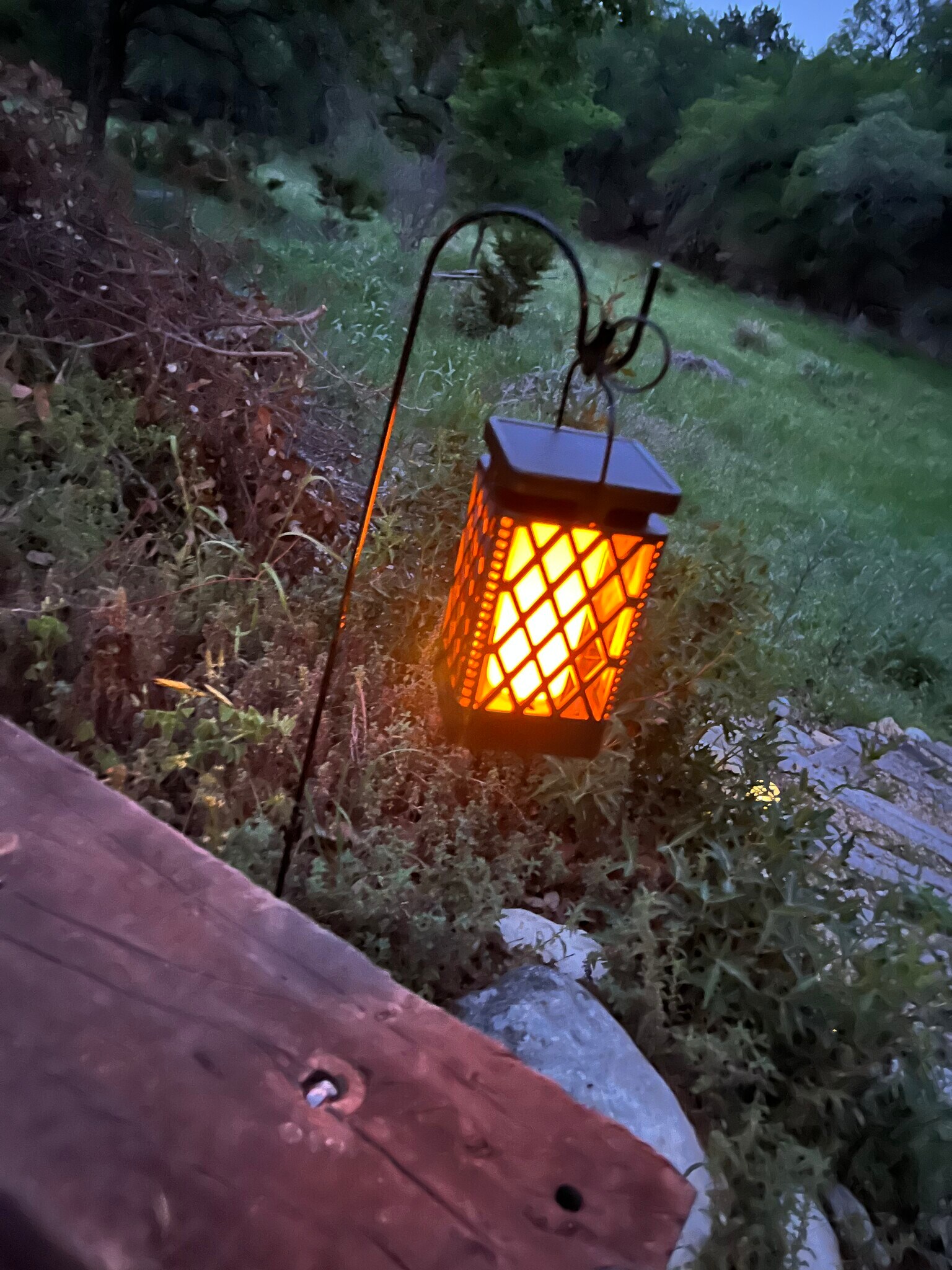 Building Photo - 1183 Lavaca