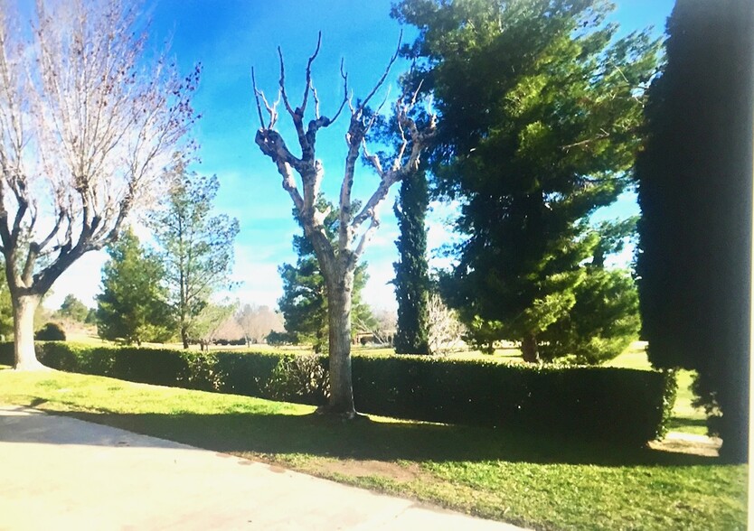 Building Photo - 14305 Augusta Dr