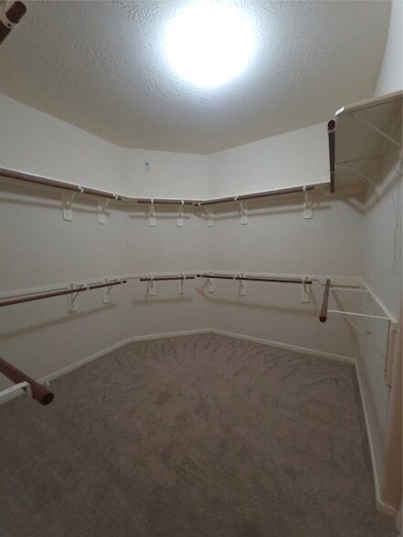 Building Photo - 9707 Indian Trail