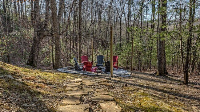 Building Photo - 348 The Forest Has Eyes