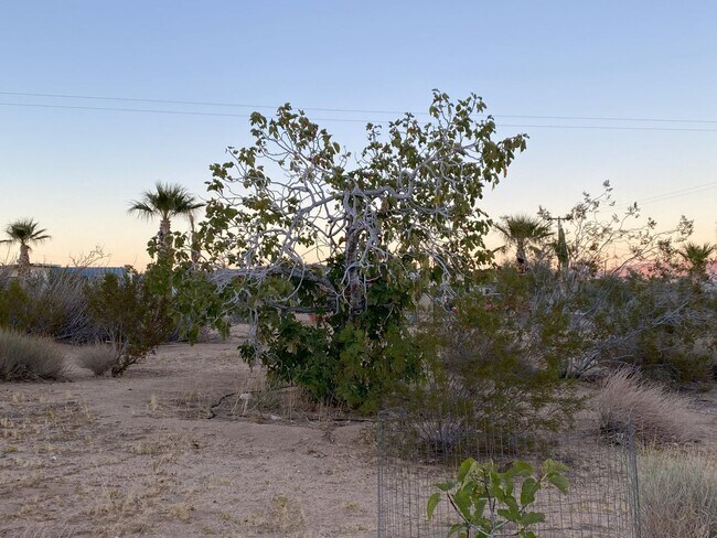 Building Photo - Charming 3-Bedroom Home for Rent in Lander...