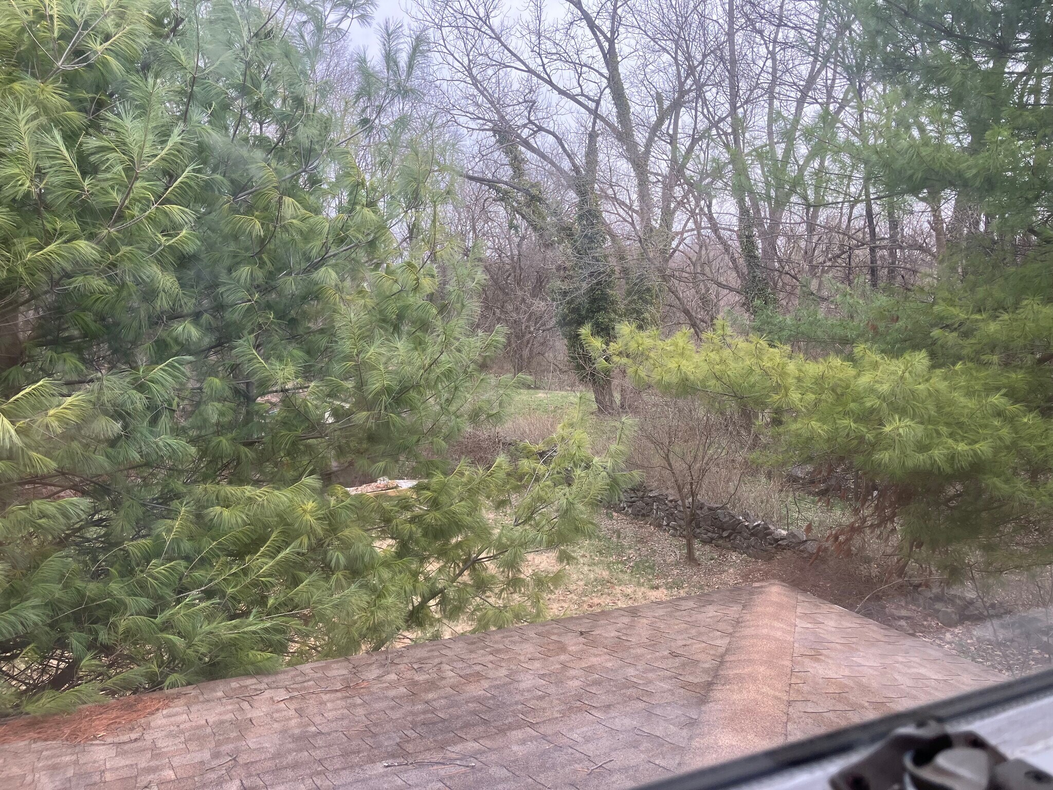 view from bedroom - 104 E Poplar St