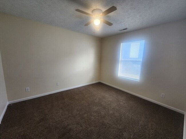 Building Photo - Open Concept 2 Bedroom Triplex