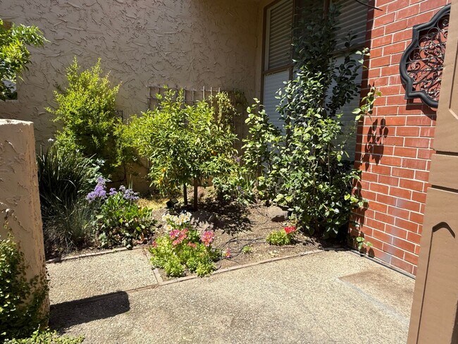 Building Photo - LOS GATOS RINCONADA HILLS - Beautifully lo...