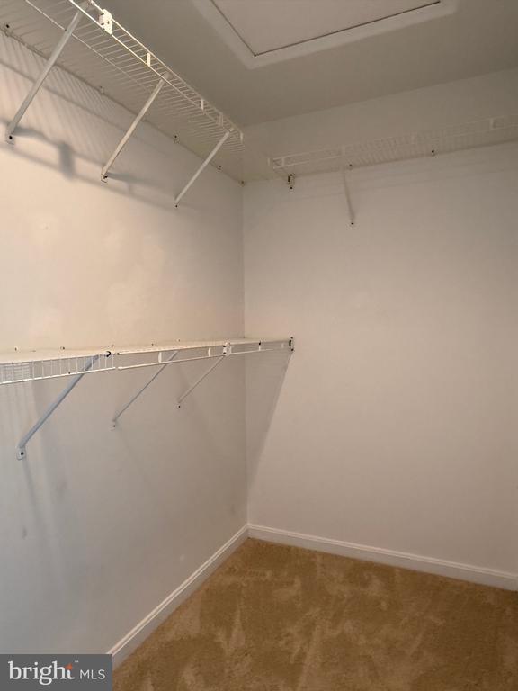 Building Photo - 3969 Cressida Pl