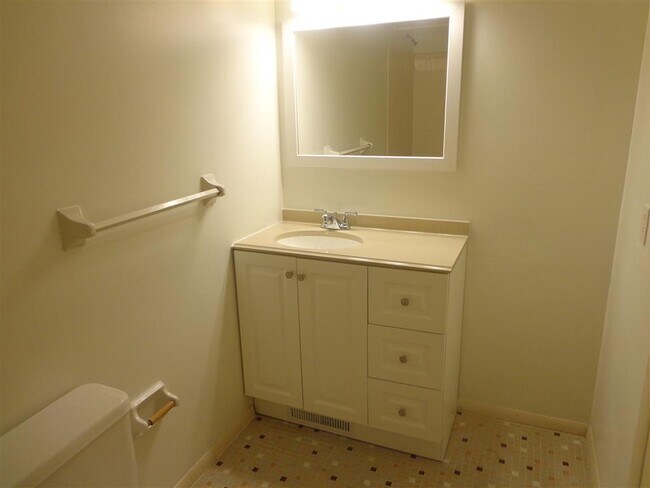 Updated hall bathroom - 3141 Manley Rd