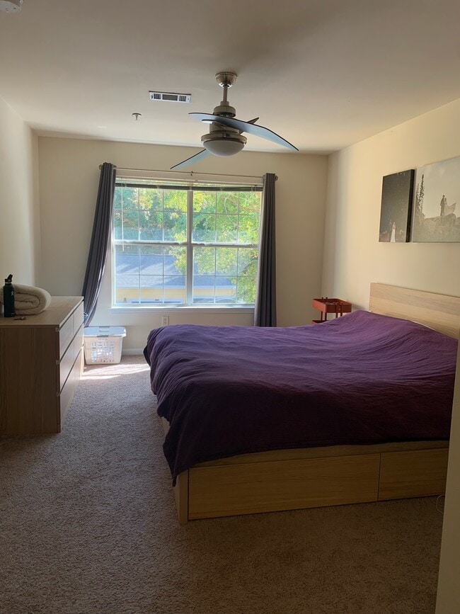 Master bedroom with 2 closets including large walk-in closet - 327 Edisto Ct