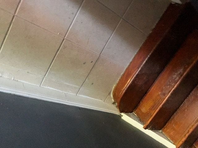 Building Photo - 7400 Lawndale Ave