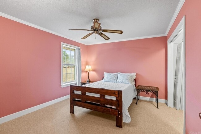 Building Photo - 12313 Jacksonville-Cato Rd