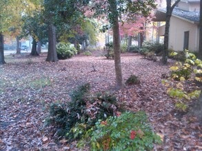 Building Photo - 4852 Rosewell Dr