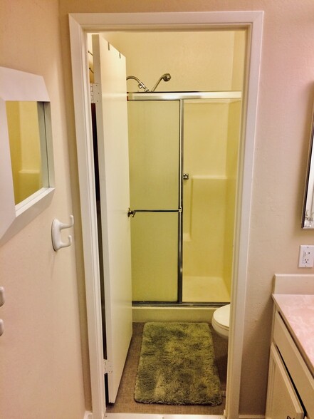 Master Bathroom - 8769 Mountain Blvd